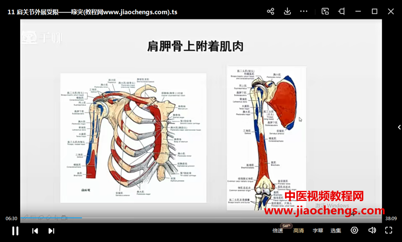 翟天軍癥狀學進階視頻課程20集百度網盤下載學習